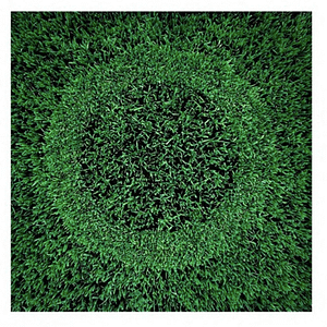Grass over grass circle