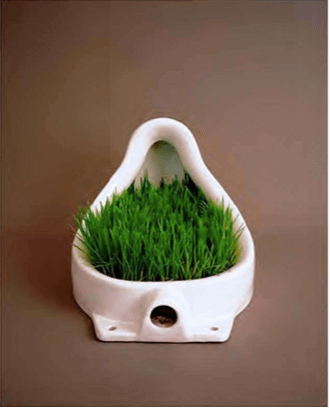 Grass Fountain