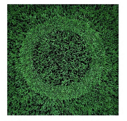Grass over grass circle